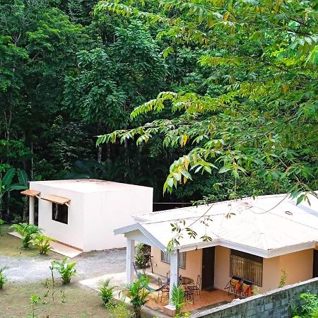 Alma Del Bosque Vacation Home And Apartments Quepos Exterior foto
